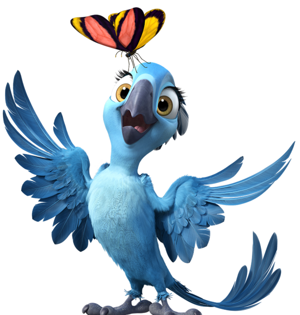 Free Bird Bird Beak Parrot Clipart Clipart Transparent Background