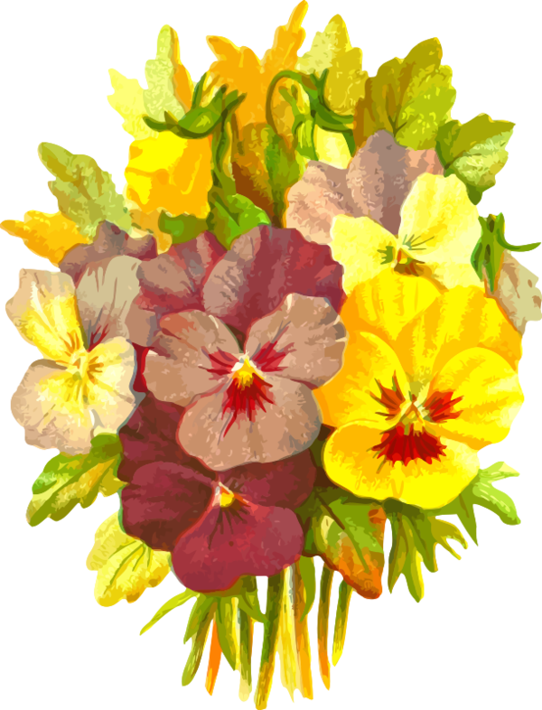 Free Family Flower Plant Pansy Clipart Clipart Transparent Background