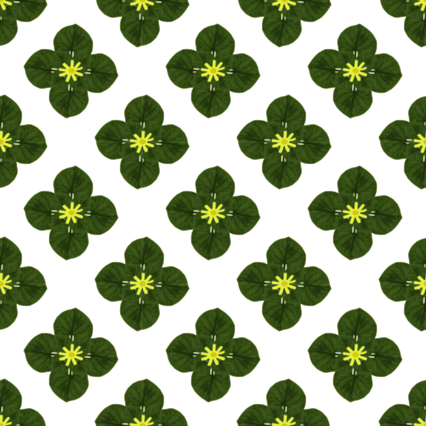 Free Grass Flower Grass Clipart Clipart Transparent Background