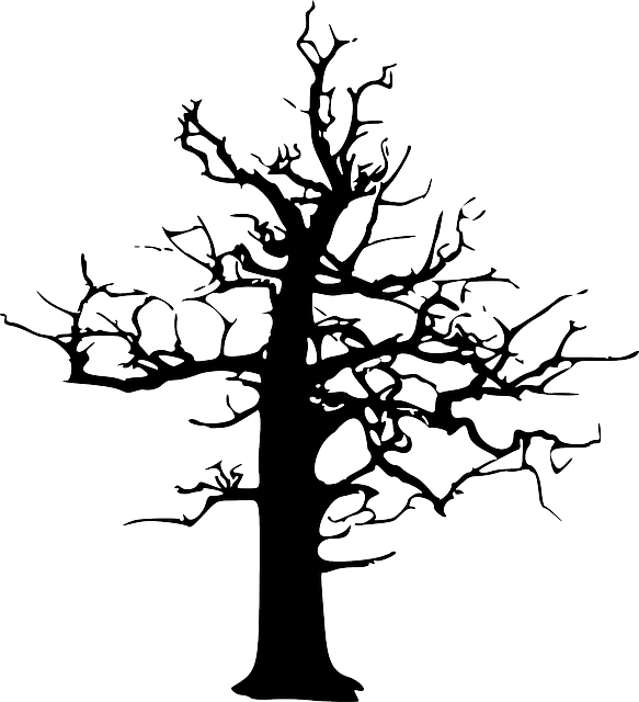 Free Family Tree Woody Plant Black And White Clipart Clipart Transparent Background