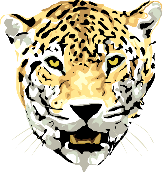 Free Leopard Face Leopard Tiger Clipart Clipart Transparent Background