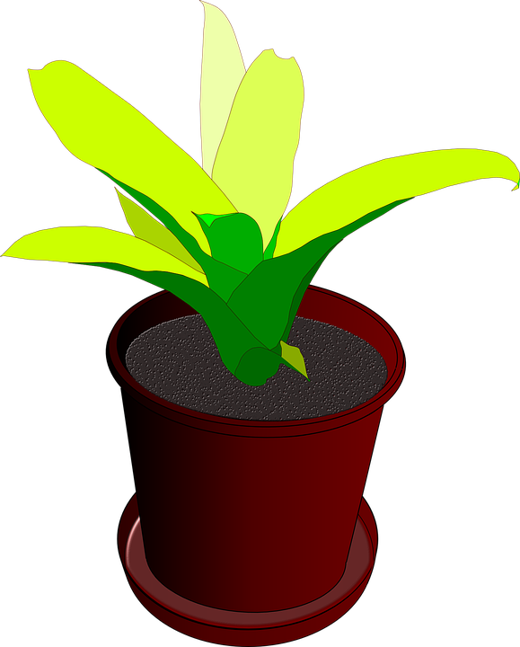 Free Tree Plant Flowerpot Leaf Clipart Clipart Transparent Background