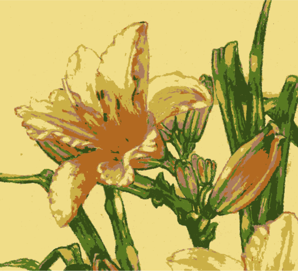 Free Cactus Flower Plant Flora Clipart Clipart Transparent Background