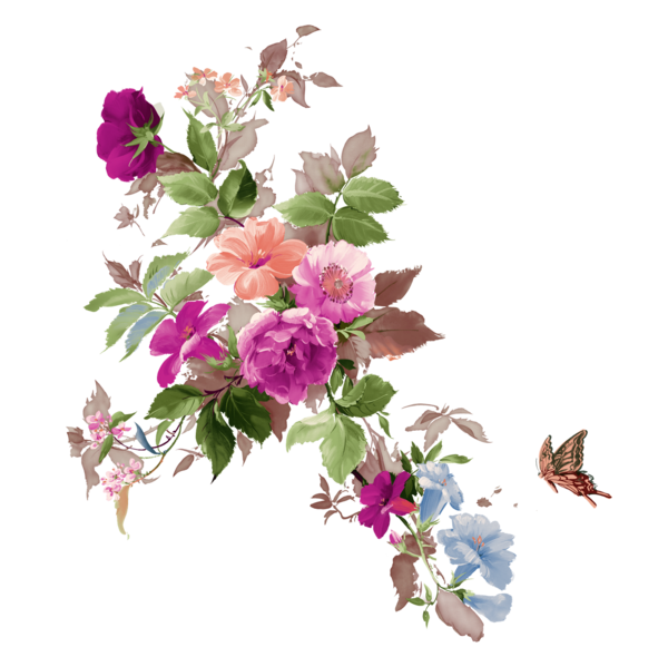 Free Family Flower Plant Branch Clipart Clipart Transparent Background