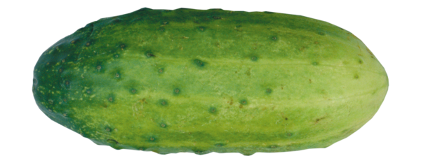 Free Vegetable Melon Food Vegetable Clipart Clipart Transparent Background