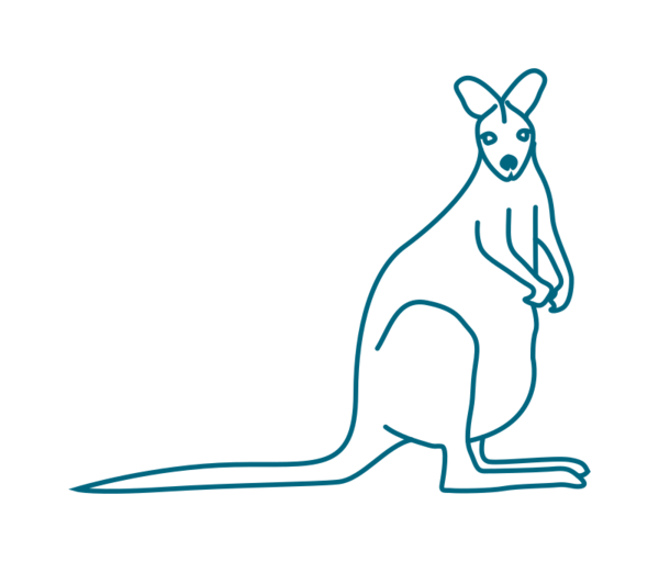 Free Rabbit Macropodidae Kangaroo Line Art Clipart Clipart Transparent Background