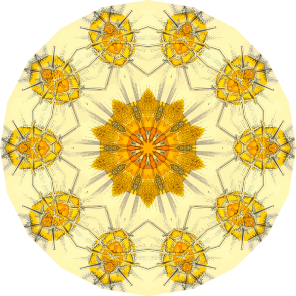 Free School Flower Sunflower Circle Clipart Clipart Transparent Background
