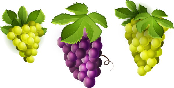 Free Wine Fruit Grape Natural Foods Clipart Clipart Transparent Background