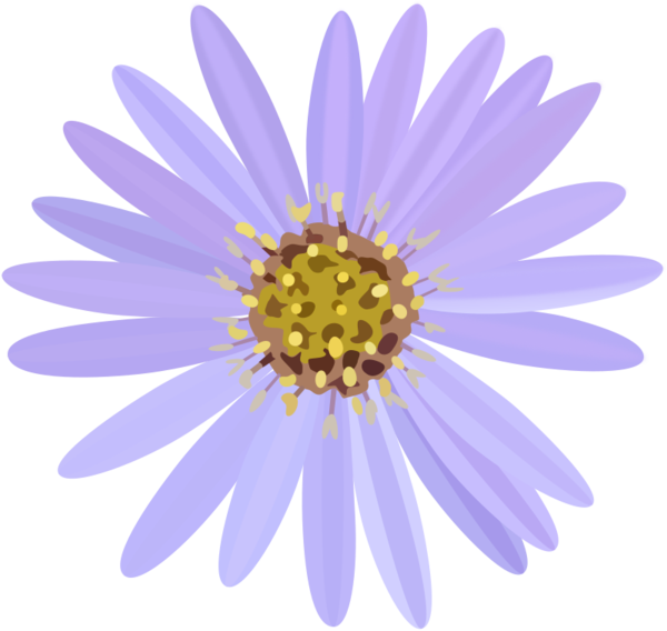 Free Gerbera Flower Daisy Violet Clipart Clipart Transparent Background