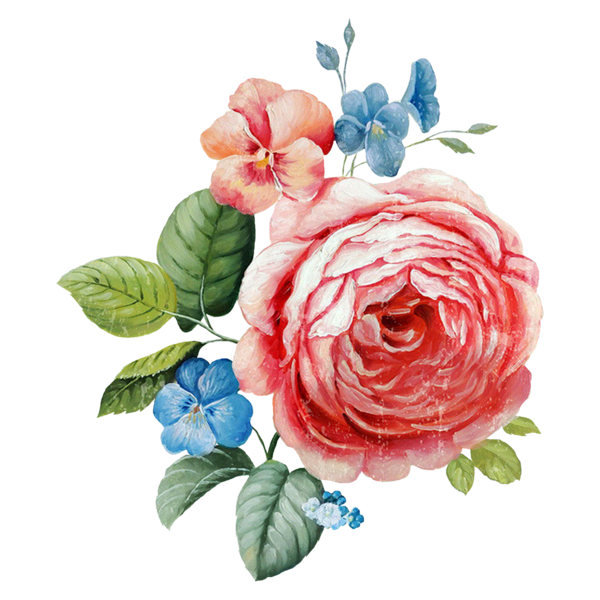 Free Rose Flower Rose Family Rose Clipart Clipart Transparent Background