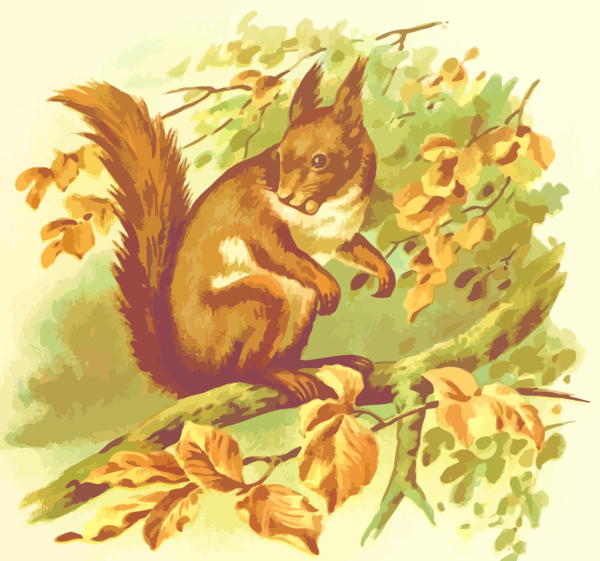 Free Squirrel Squirrel Leaf Wildlife Clipart Clipart Transparent Background