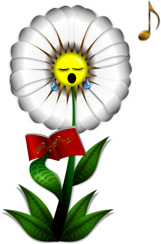 Free Daisy Flower Plant Daisy Clipart Clipart Transparent Background