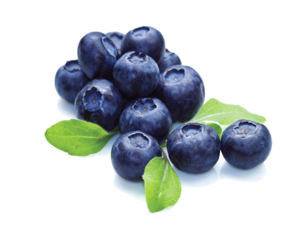 Free Fruit Natural Foods Fruit Blueberry Clipart Clipart Transparent Background