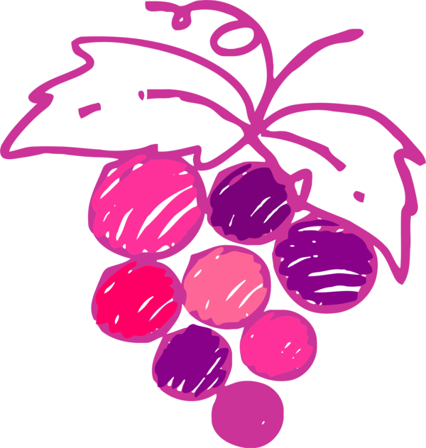 Free Wine Flower Magenta Fruit Clipart Clipart Transparent Background