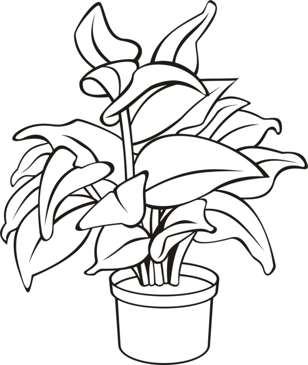 Free Leaf Flower Black And White Flora Clipart Clipart Transparent Background