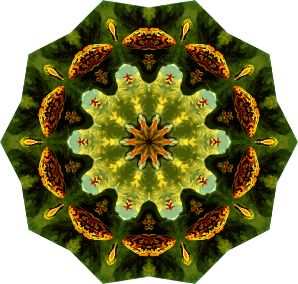 Free Lizard Leaf Pollinator Symmetry Clipart Clipart Transparent Background