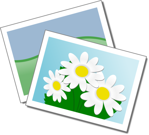 Free Sunflower Flower Text Flora Clipart Clipart Transparent Background