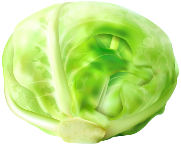 Free Vegetable Vegetable Leaf Vegetable Cabbage Clipart Clipart Transparent Background
