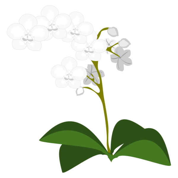 Free Music Icon Flower Flora Plant Clipart Clipart Transparent Background