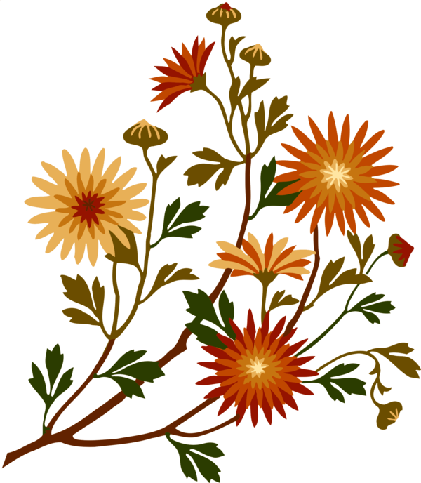 Free Daisy Flower Plant Daisy Clipart Clipart Transparent Background