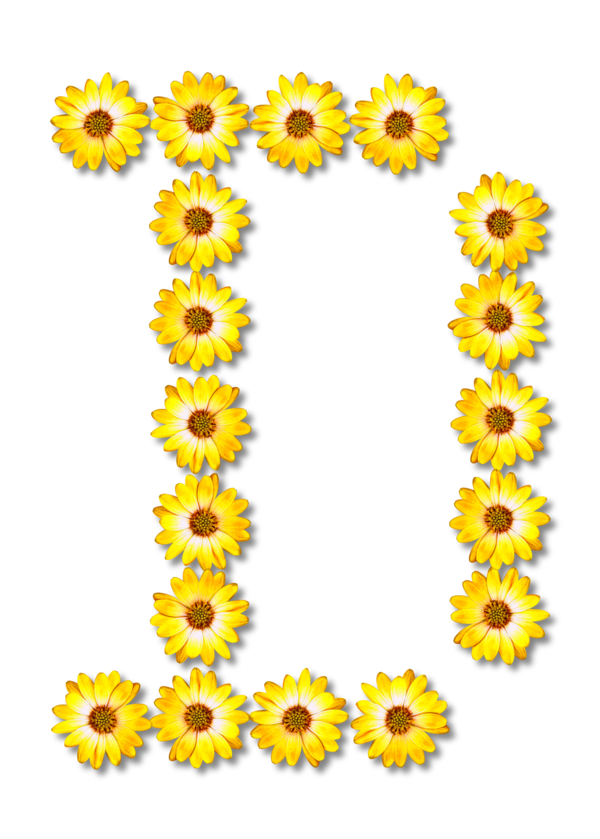 Free Daisy Flower Sunflower Sunflower Seed Clipart Clipart Transparent Background