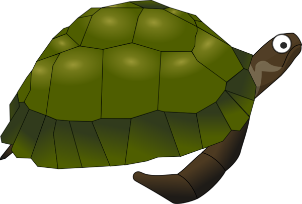 Free Turtle Turtle Tortoise Reptile Clipart Clipart Transparent Background