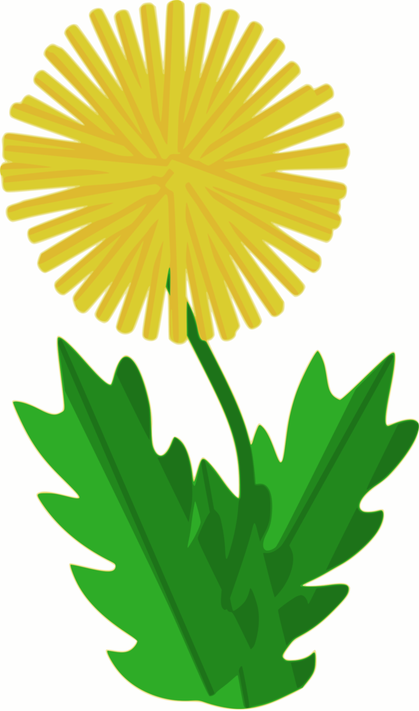 Free Sunflower Flower Leaf Plant Clipart Clipart Transparent Background