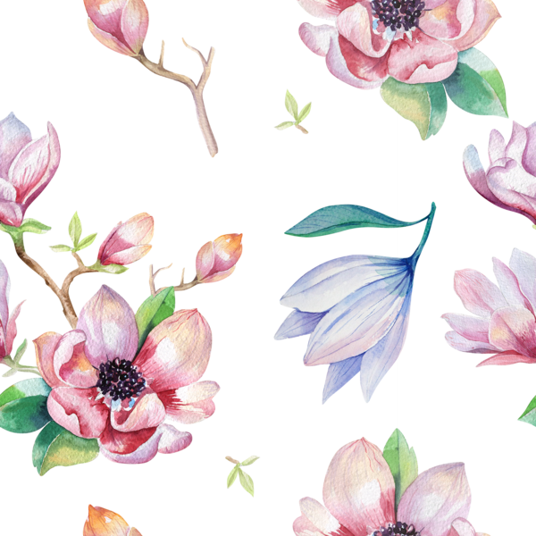 Free Magnolia Flower Flora Plant Clipart Clipart Transparent Background