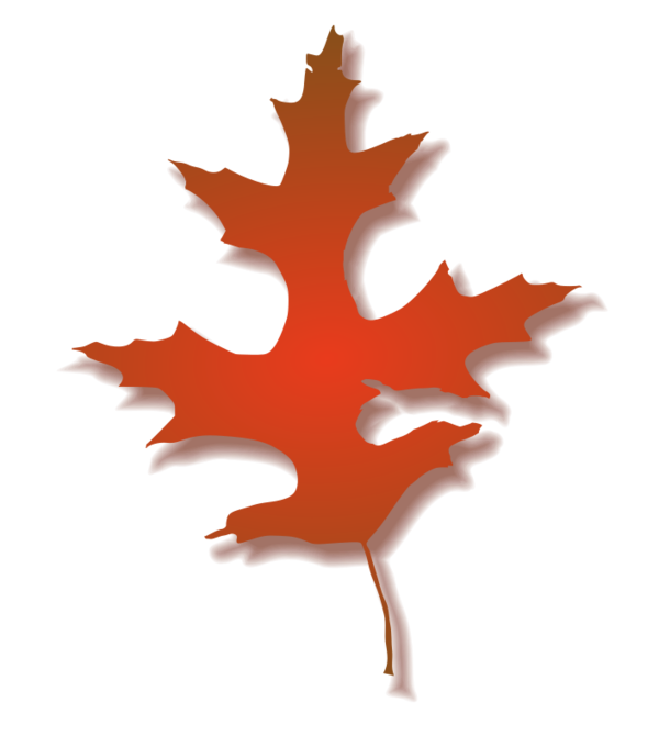 Free Tree Leaf Tree Maple Leaf Clipart Clipart Transparent Background