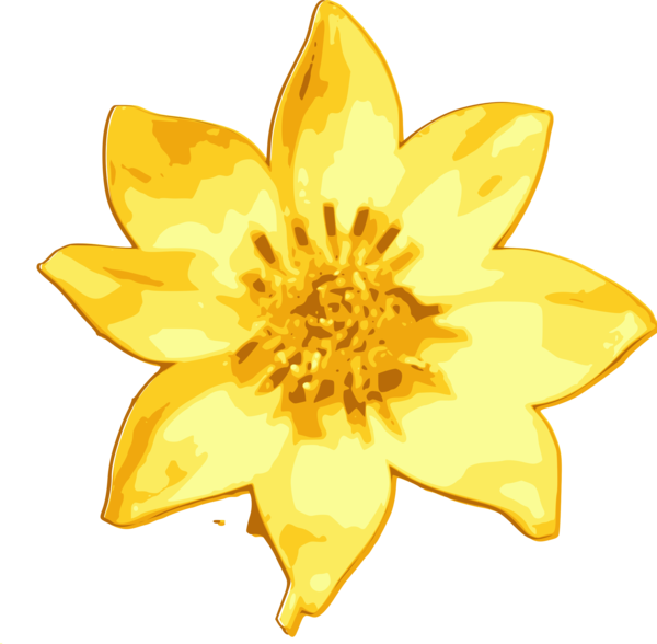 Free Daisy Flower Sunflower Flora Clipart Clipart Transparent Background