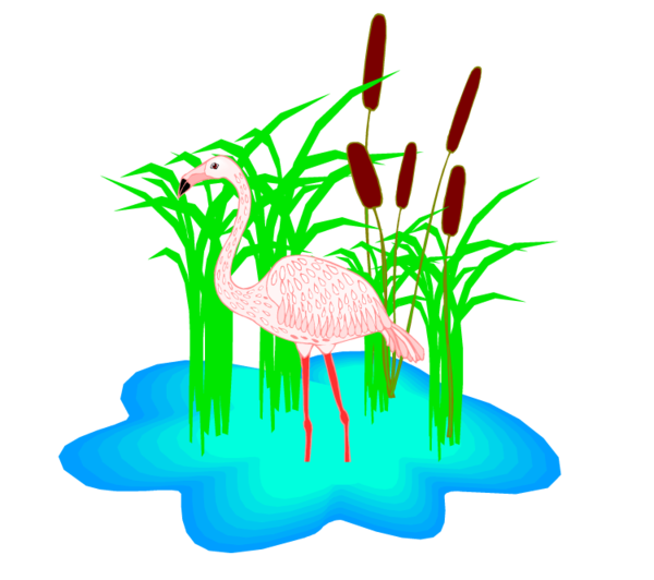 Free Grass Grass Plant Aquarium Decor Clipart Clipart Transparent Background