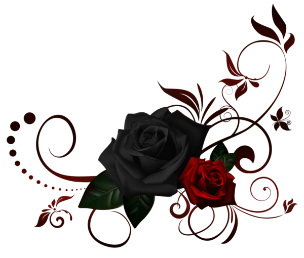 Free Rose Flower Rose Family Flora Clipart Clipart Transparent Background
