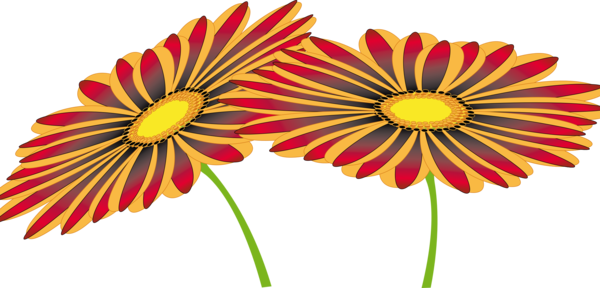 Free Gerbera Flower Cut Flowers Daisy Clipart Clipart Transparent Background