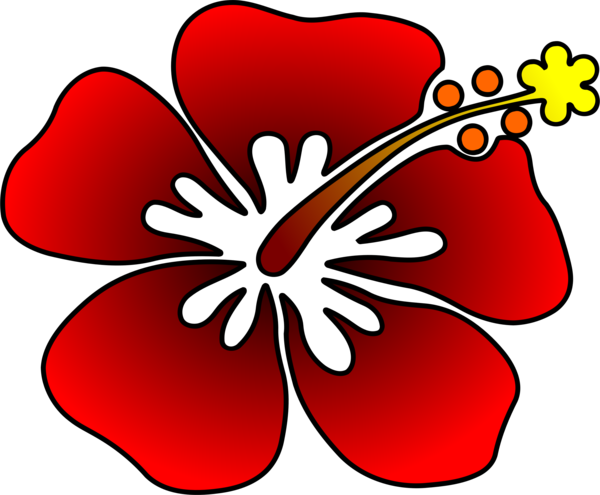 Free Hibiscus Flower Flora Petal Clipart Clipart Transparent Background