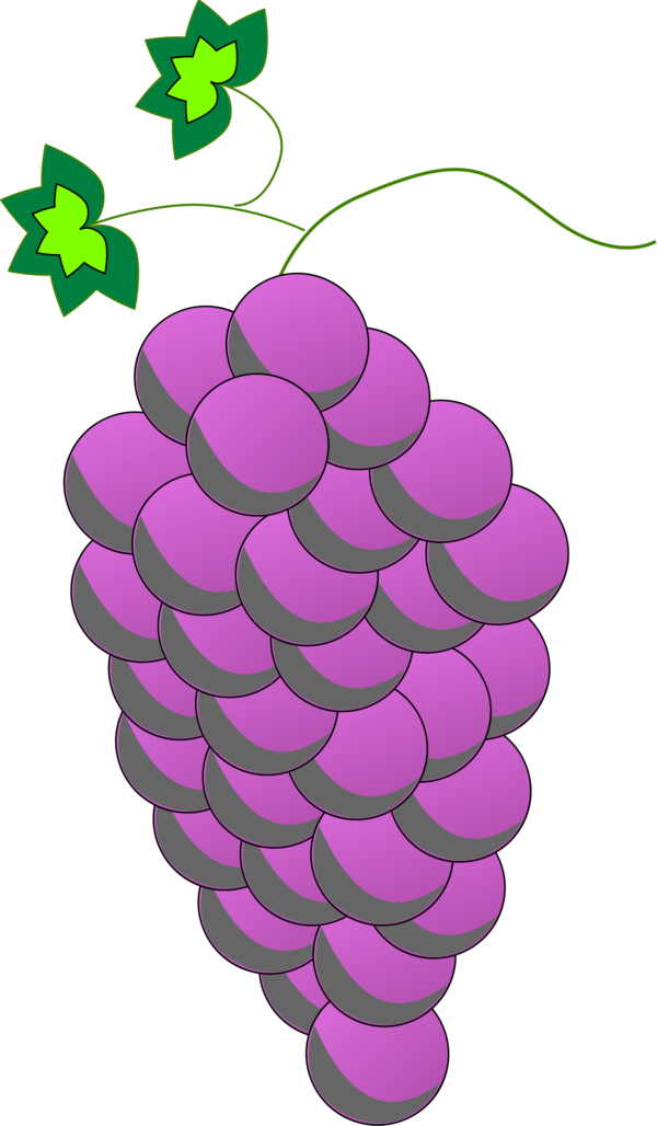 Free Wine Grape Fruit Grapevine Family Clipart Clipart Transparent Background