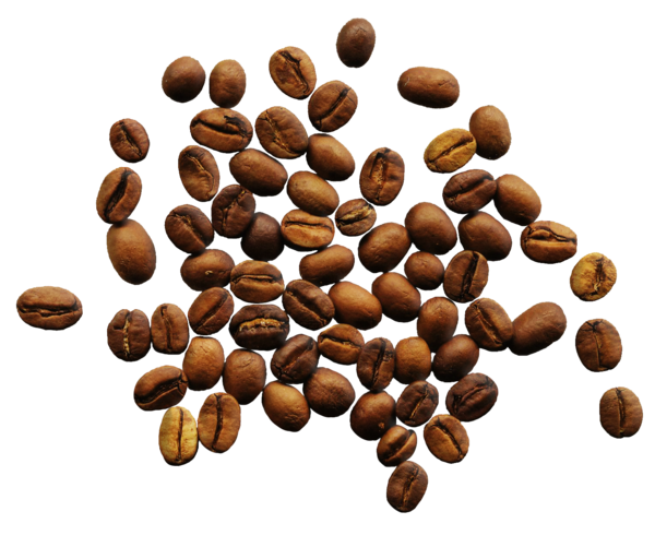 Free Coffee Nuts Seeds Superfood Jamaican Blue Mountain Coffee Clipart Clipart Transparent Background