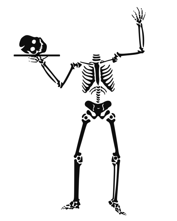 Free Anatomy Black And White Skeleton Joint Clipart Clipart Transparent Background