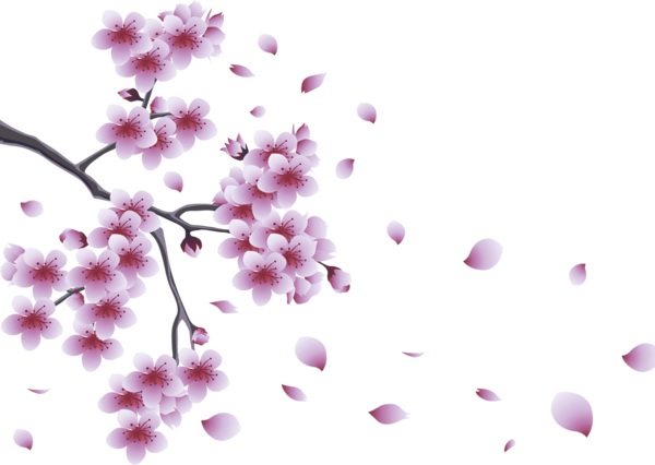 Free Spring Flower Blossom Lilac Clipart Clipart Transparent Background