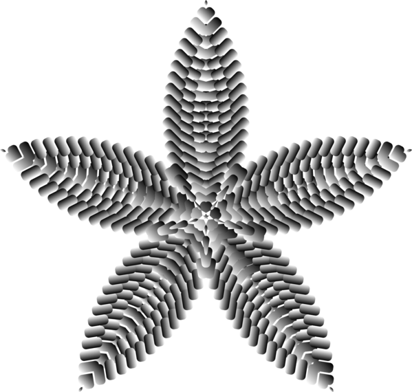 Free Leaf Black And White Leaf Plant Clipart Clipart Transparent Background