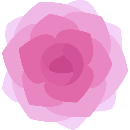 Free Peony Flower Rose Family Rose Clipart Clipart Transparent Background