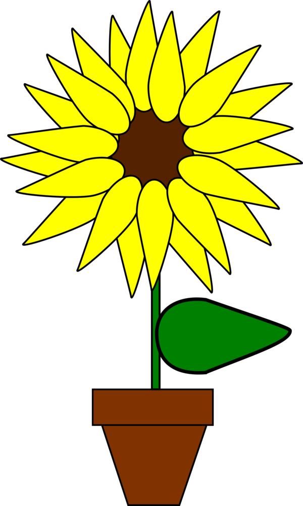 Free Sunflower Flower Sunflower Plant Clipart Clipart Transparent Background