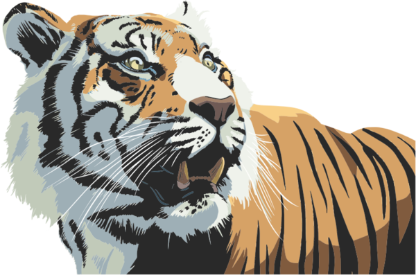 Free Tiger Tiger Wildlife Head Clipart Clipart Transparent Background