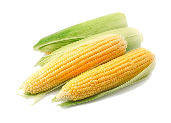 Free Vegetable Sweet Corn Corn On The Cob Vegetarian Food Clipart Clipart Transparent Background