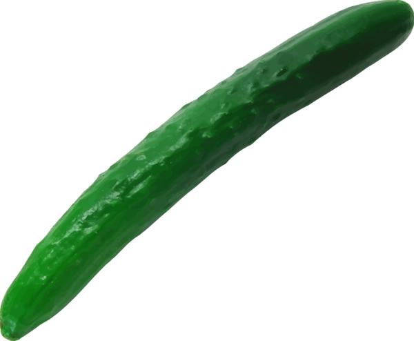 Free Breakfast Vegetable Cucumber Cucumis Clipart Clipart Transparent Background
