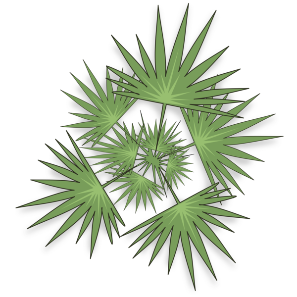 Free Grass Leaf Arecales Tree Clipart Clipart Transparent Background