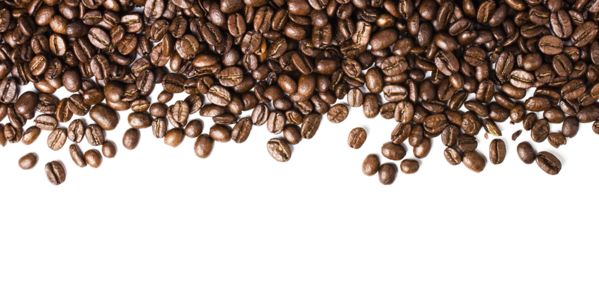 Free Coffee Seed Commodity Superfood Clipart Clipart Transparent Background