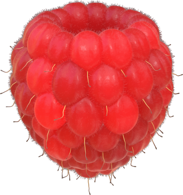 Free Fruit Fruit Berry Food Clipart Clipart Transparent Background