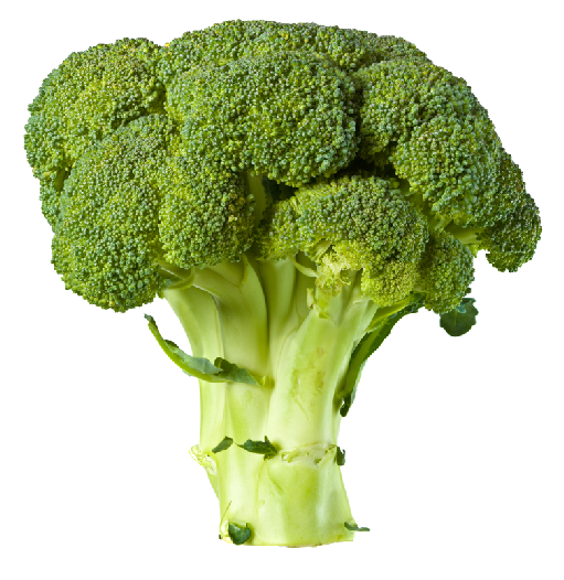Free Vegetable Broccoli Vegetable Leaf Vegetable Clipart Clipart Transparent Background