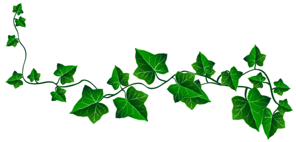 Free Family Leaf Plant Branch Clipart Clipart Transparent Background