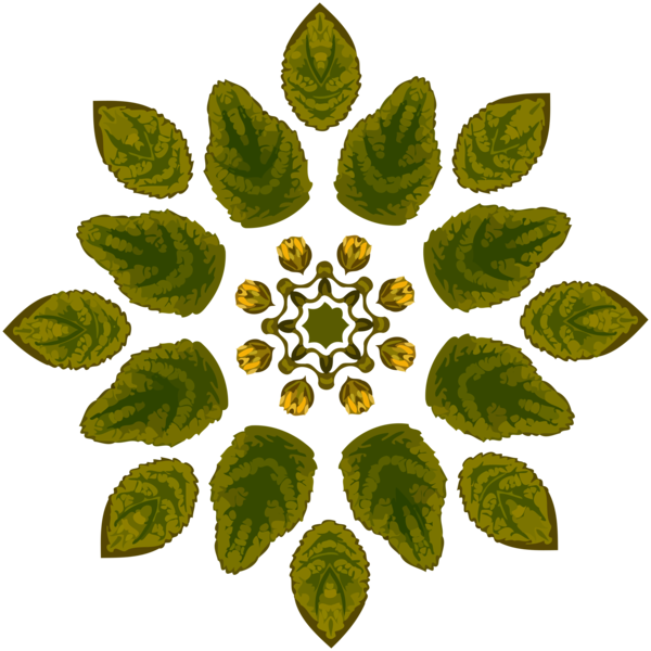 Free Fruit Leaf Plant Flora Clipart Clipart Transparent Background